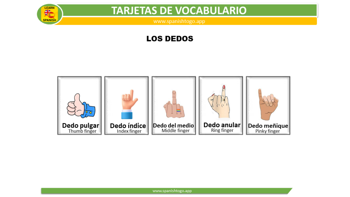 Finger in Spanish