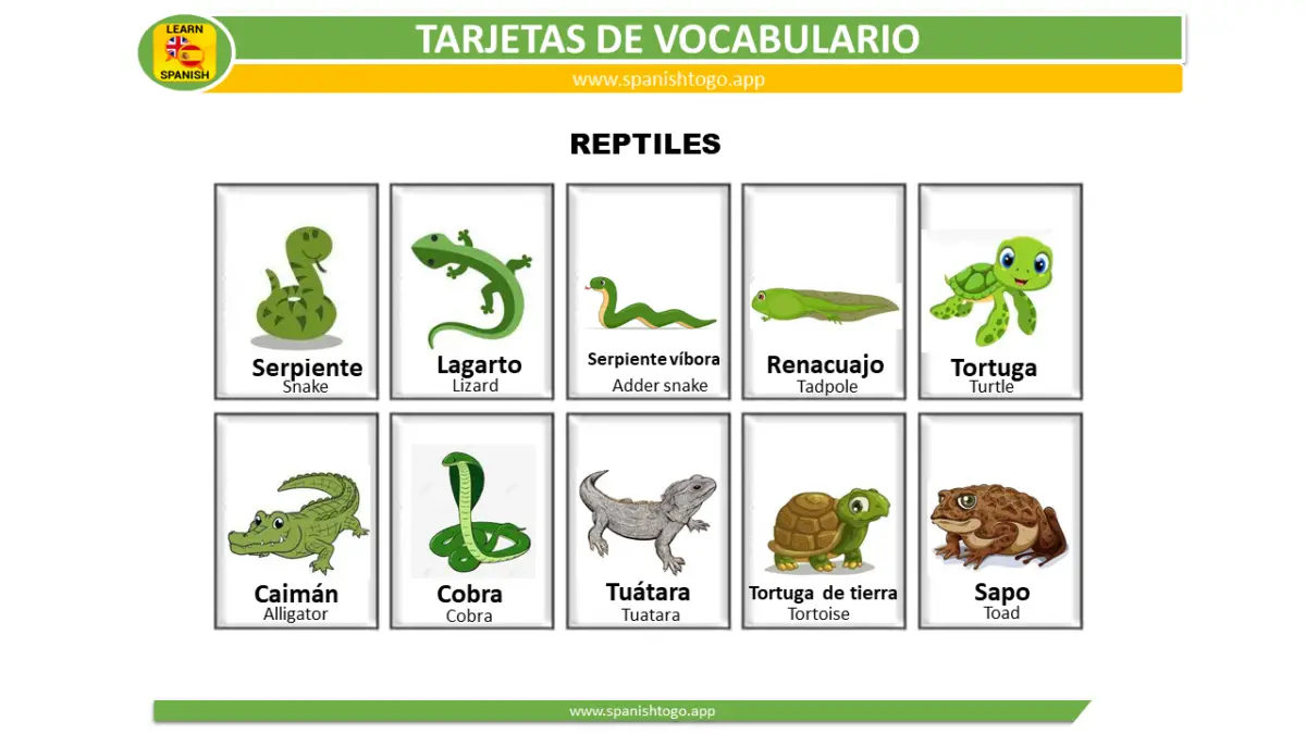 Reptiles Vocabulary in Spanish