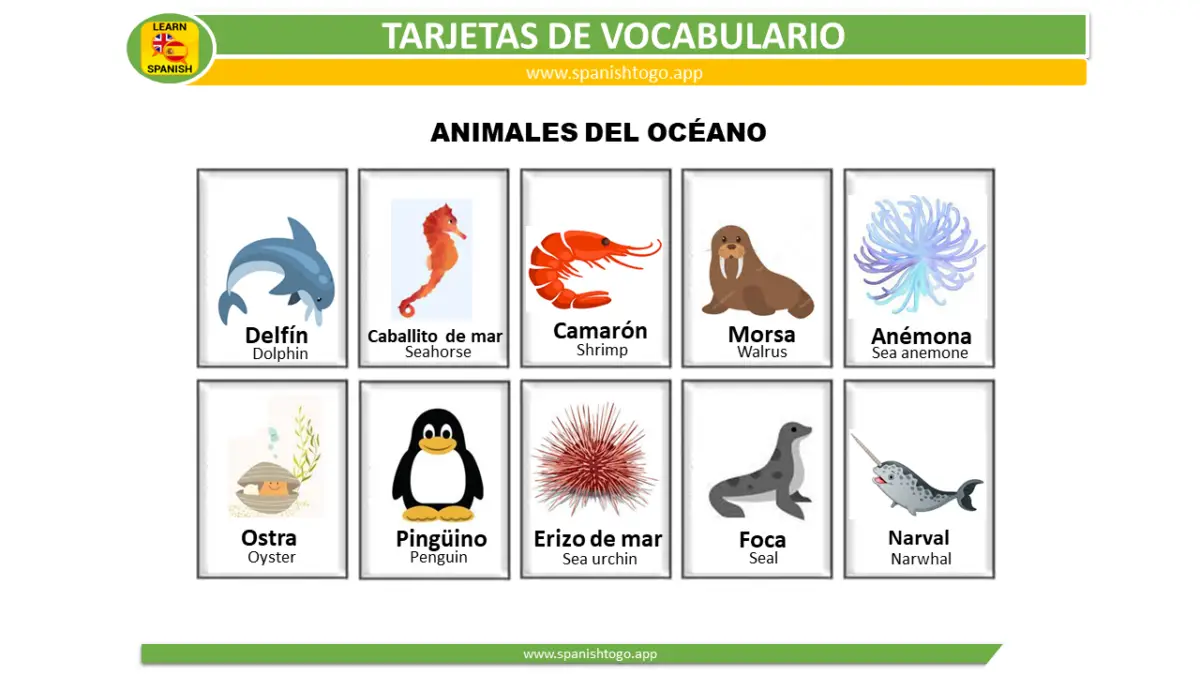 Water Animals Flashcards in Spanish