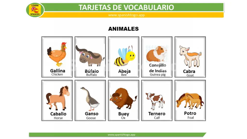 farm animals flashcards in spanish
