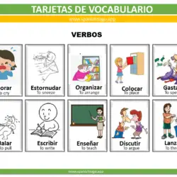 Verbs Vocabulary
