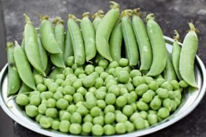Read more about the article Pea in Spanish