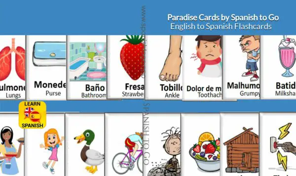 Paradise Cards - English to Spanish Printable Flashcards
