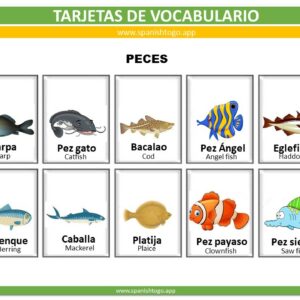 types of fish printable flashcards