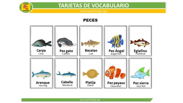 types of fish printable flashcards