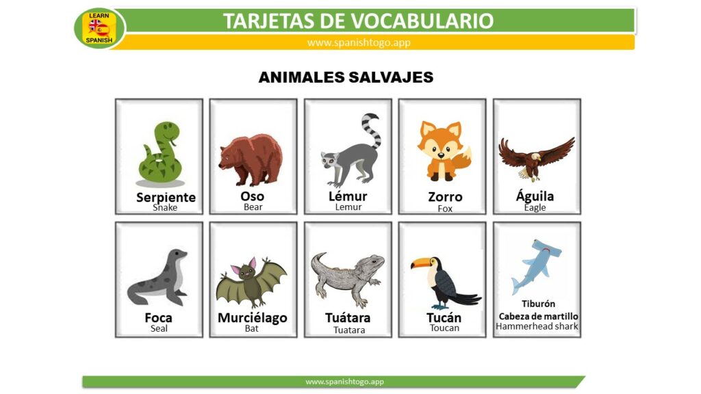 Wild Animals in Spanish Flashcards