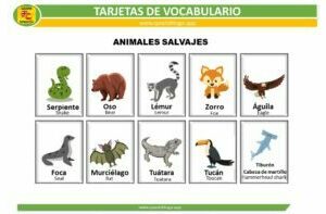 Wild Animals in Spanish Flashcards