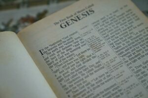 Genesis 1 in Spanish