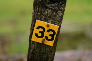 Read more about the article How do You Say 33 in Spanish