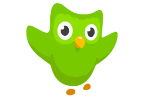 Duolingo Stories In Spanish